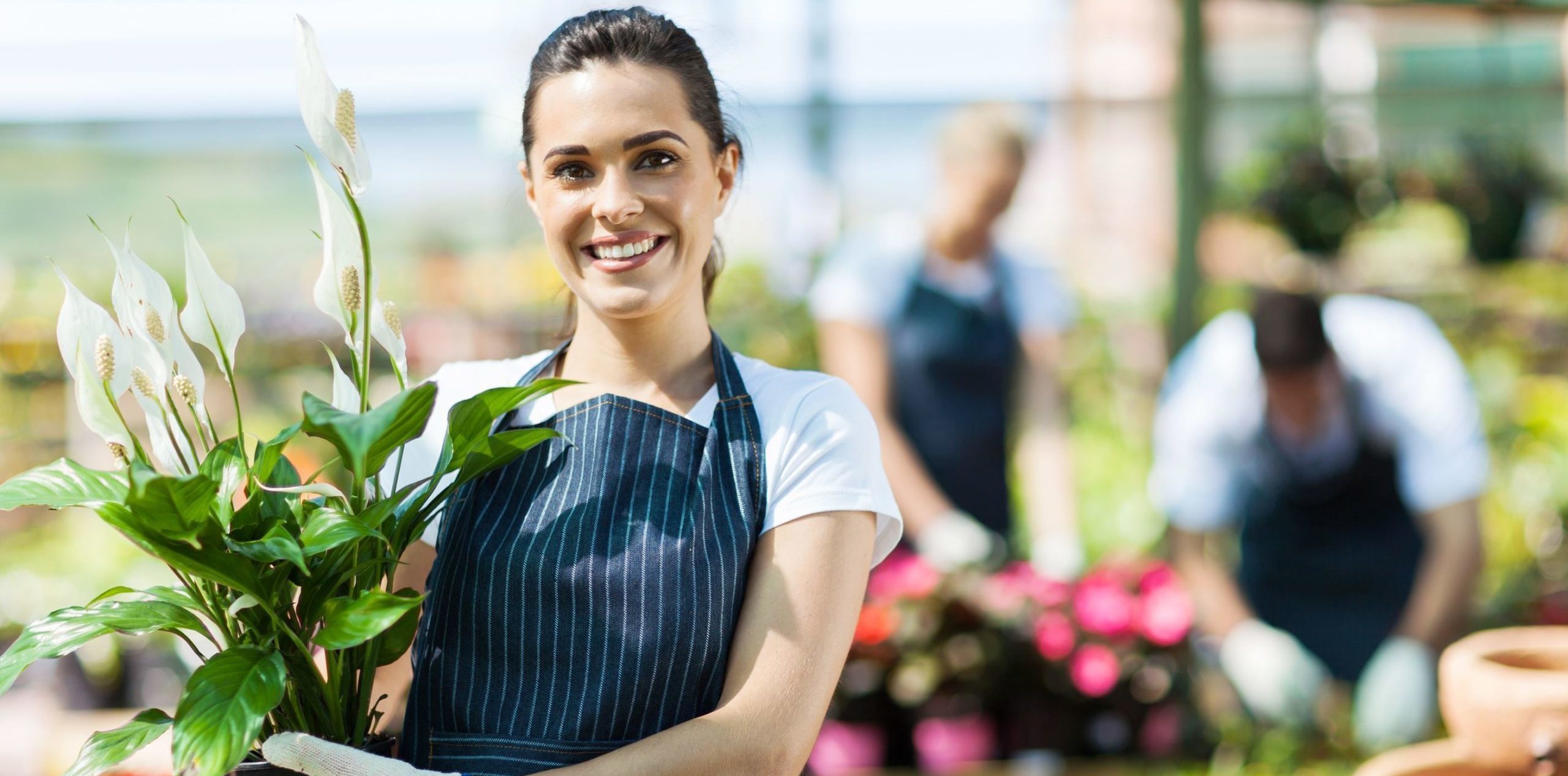 Comercios y Oficinas Seguros Directo