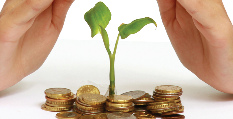 Subsidio Seguros Directo