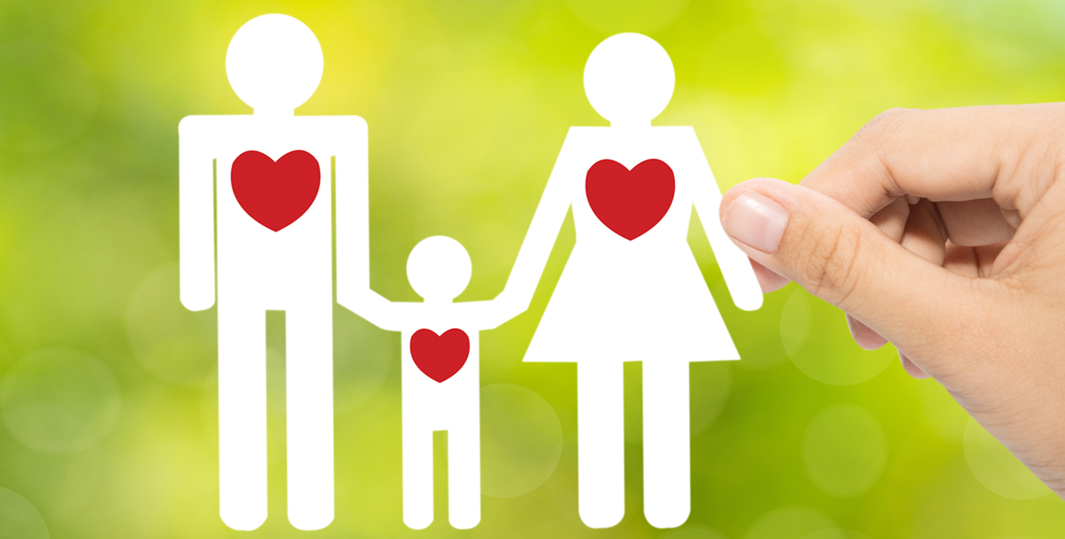 Vida Seguros Directo